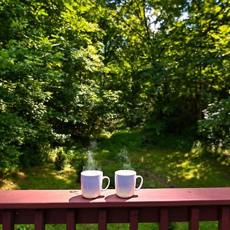Smoky Mountains Hut Tub Cabin Dog Friendly Sevierville Exteriör bild