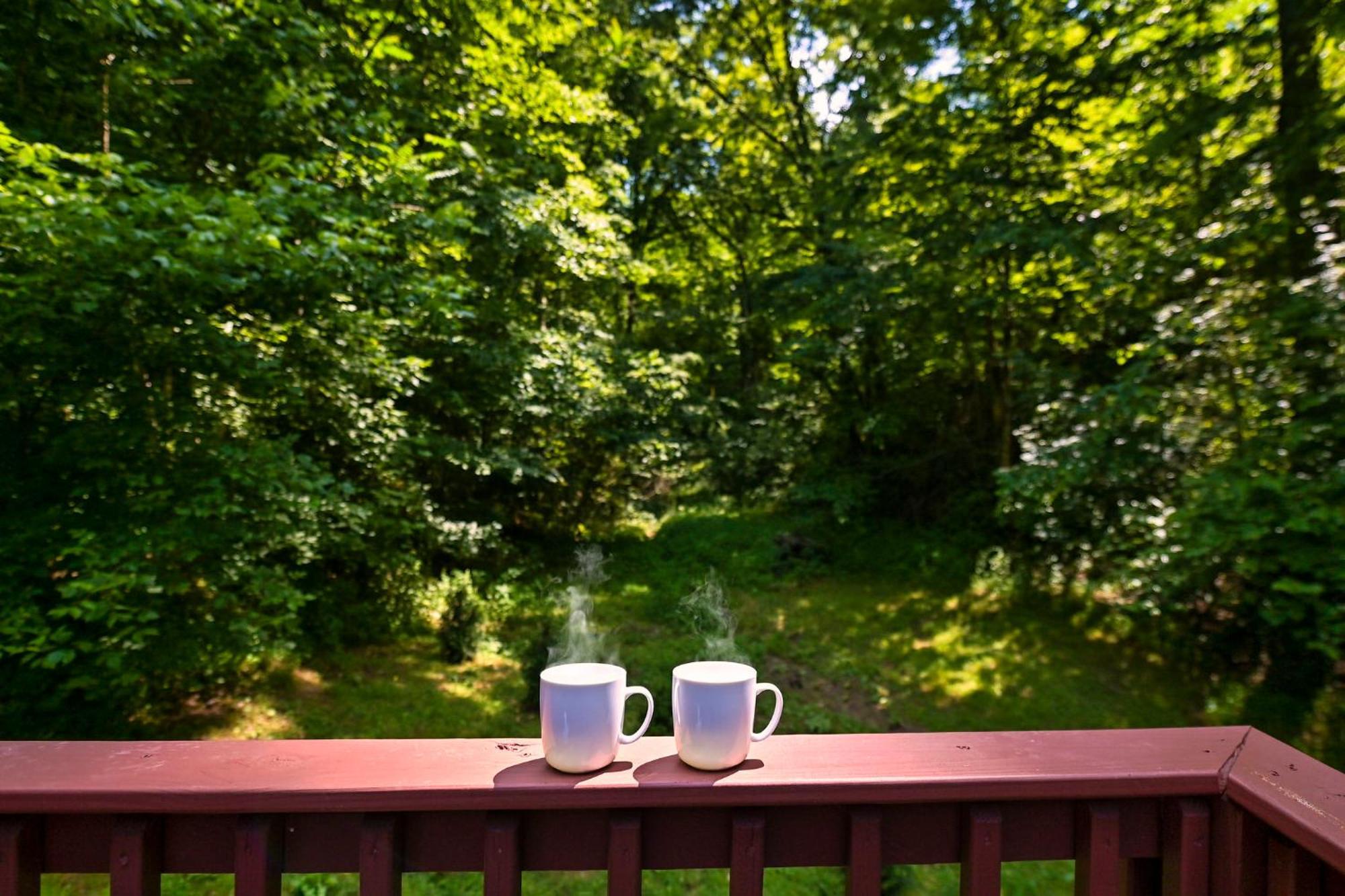 Smoky Mountains Hut Tub Cabin Dog Friendly Sevierville Exteriör bild